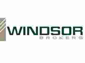 Логотип  Windsor